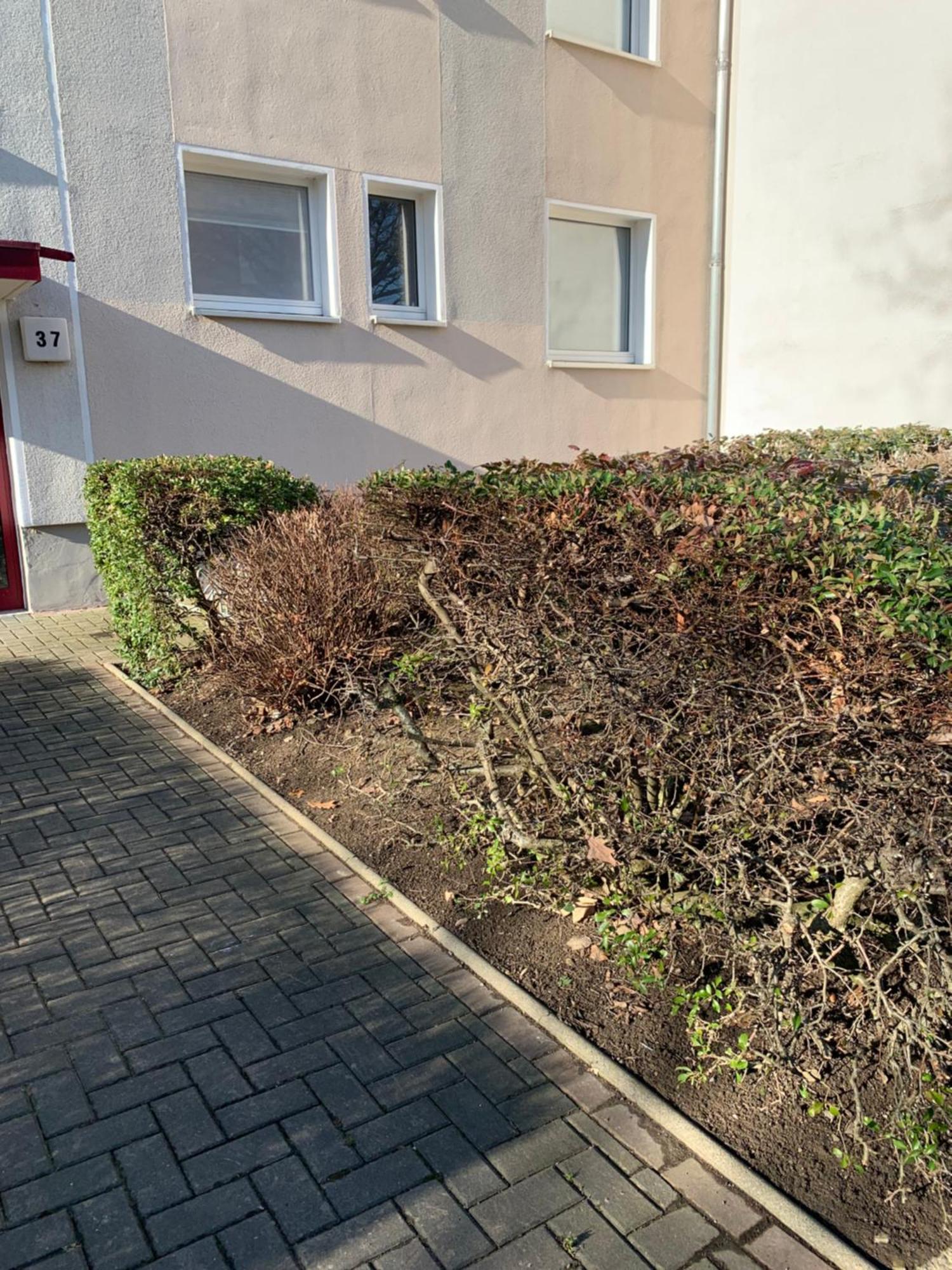 Mycha Ferienwohnung Goslar Exterior foto